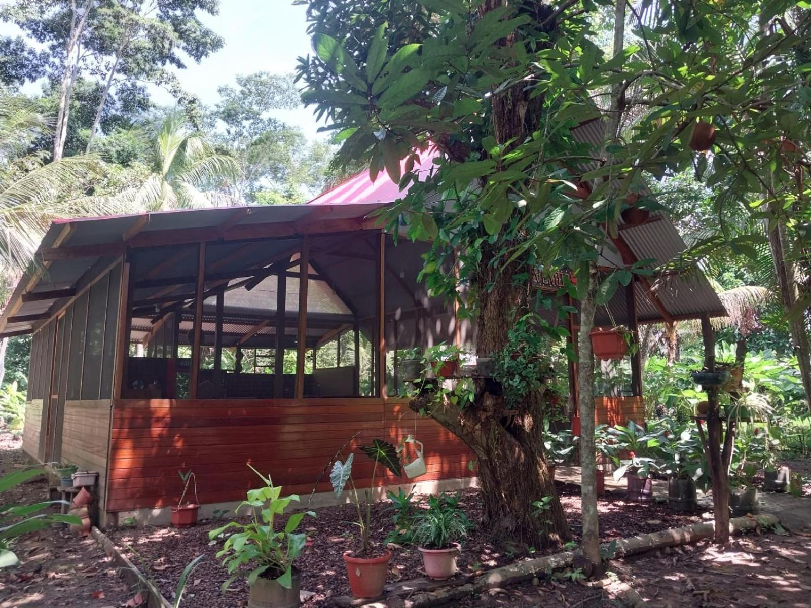 Jardin De Las Musas Пуэрто-Мальдонадо Экстерьер фото